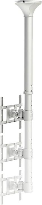 Actual product image Neomounts Fpma-C200 (Ceiling, 40")
