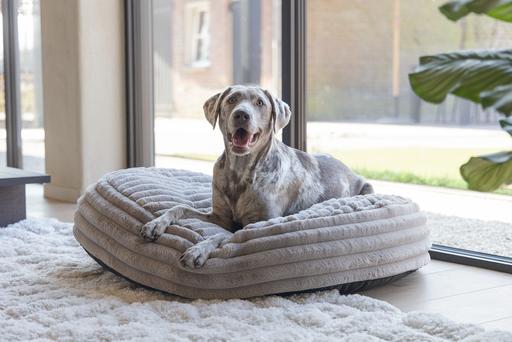 Produktbild Designed by Lotte Liegekissen Reza (Hund)