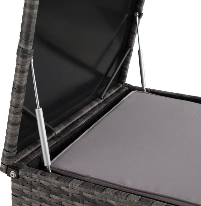 Image du produit tectake Pise