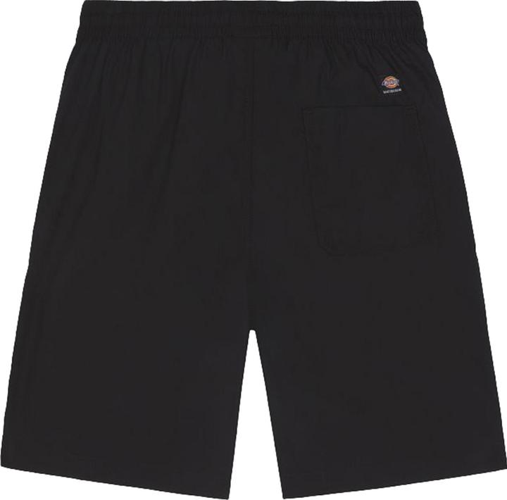 Actual product image Dickies Jackson Cargo Shorts (S, L)