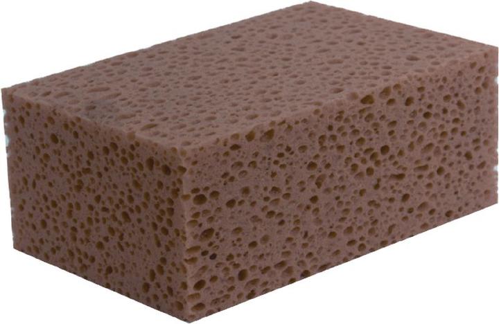 Actual product image BRW Mason's sponge