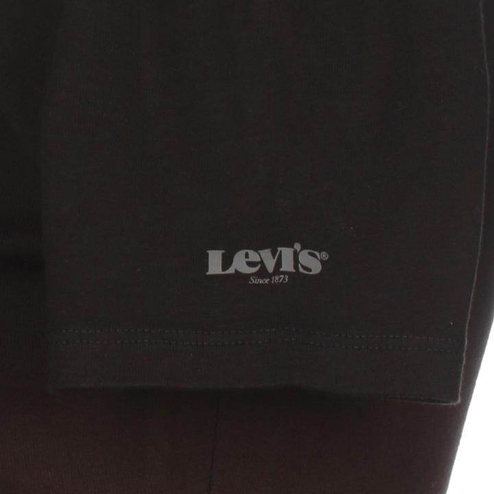 Produktbild Levis stav with Heavy Hoody - 50029 (S)