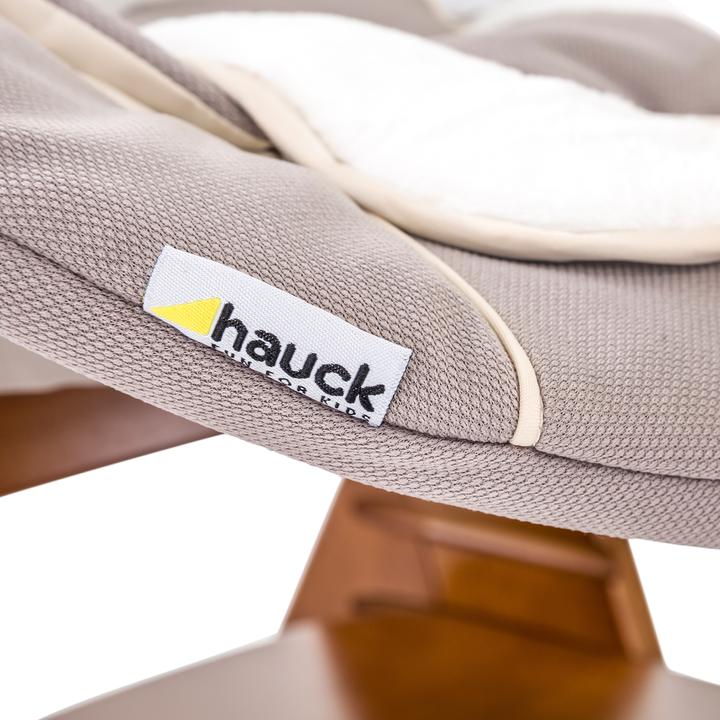 Actual product image Hauck Alpha Bouncer 2in1