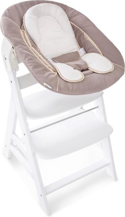 Actual product image Hauck Alpha Bouncer 2in1
