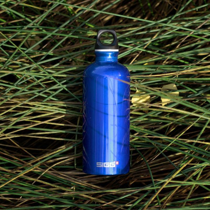 Actual product image Sigg Traveller (0.60 l)