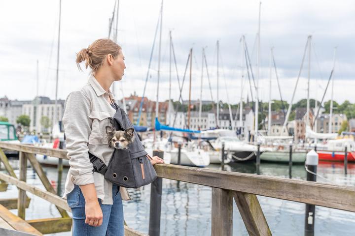 Actual product image Trixie Tiertransport-Rucksack Be Nordic Bjorn (Dog, Breathable)