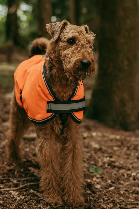 Immagine prodotto Weatherbeeta Comfitec Reflective Parka 300D Dog Coat (25, Cappotto per cani)