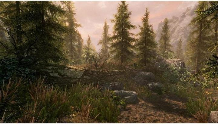Produktbild Game The Elder Scrolls V: Skyrim – Special Edition (PS4, DE)