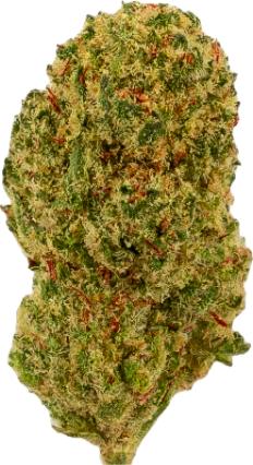 Actual product image Green Passion Maui Wowy Popcorn (10 g, Indoor)