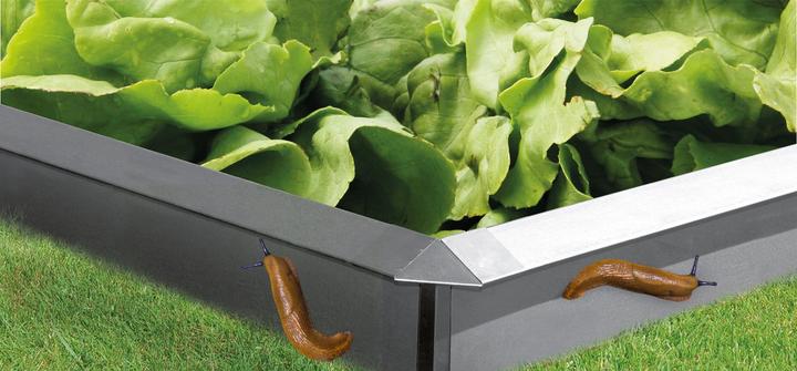 Produktbild Bellissa Schneckenblech Eckteil (7 cm)