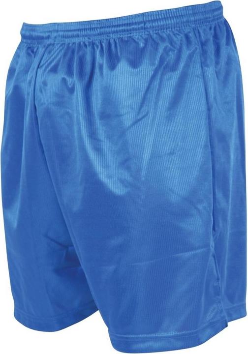 Precision ErwachsenenFussballshorts mit MikroStreifen