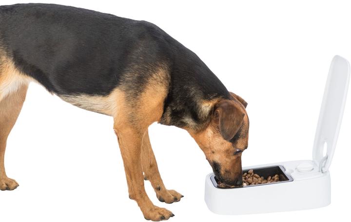 Actual product image Trixie TX1 automatic feeder (0.30 l)