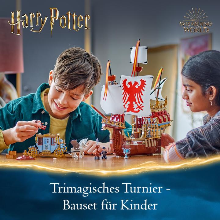 Productafbeelding LEGO Toverschool Toernooi: De aankomst (76440, LEGO Harry Potter, LEGO Zeldzame Sets)