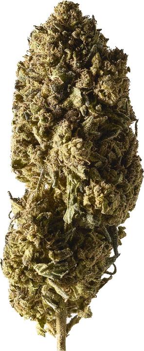 Immagine prodotto Herba di Berna Mango Haze (45 g, Esterno)