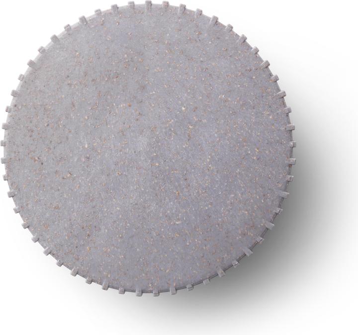 Chip