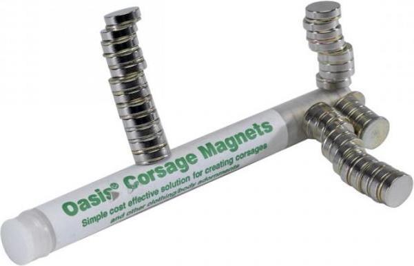 Produktbild Oasis Corsage Magnete, 1 cm Ø