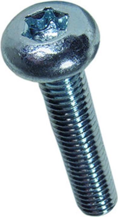 Actual product image Werkstarck fillister head metal screw (100 Screws per piece)
