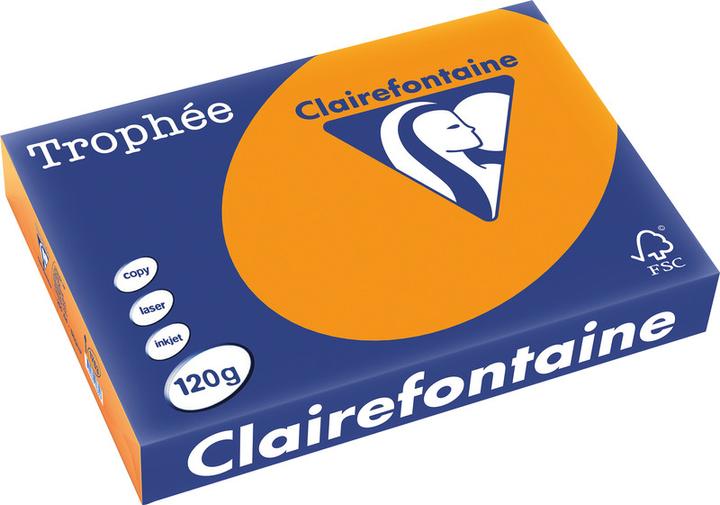 Immagine prodotto Clairefontaine Carta universale colorata (120 g/m², 250 x, A4)