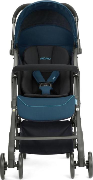 Actual product image RECARO Easylife Elite 2