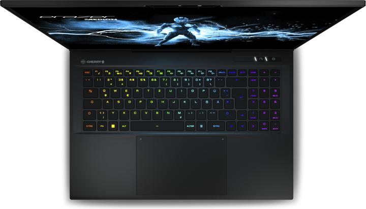 Produktbild Medion Erazer Beast X40 RTX 4080 (17", Intel Core i9-13900HX, 32 GB, 1000 GB, CH)