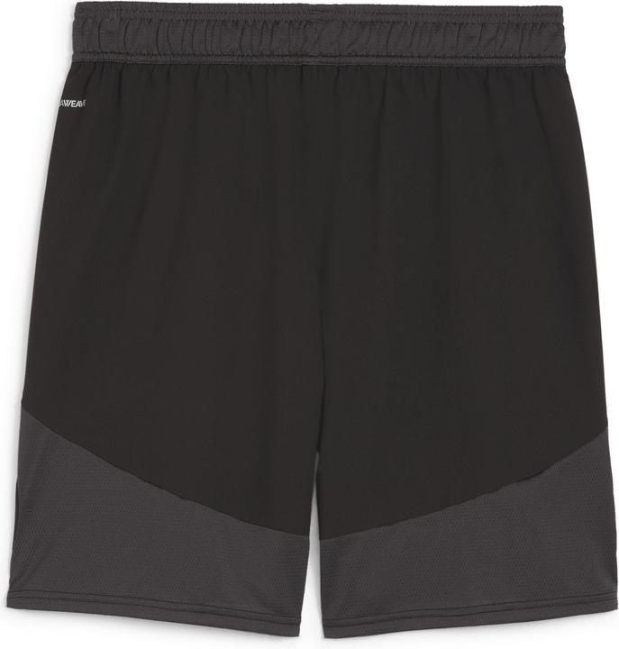Image du produit Puma Short teamFINAL (M)