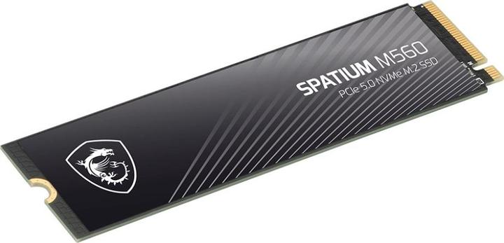 Actual product image MSI 1TO M.2 NVME GEN5 - SPATIUM M560 (1000 GB, M.2 2280)