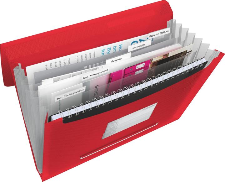Actual product image Esselte Project File VIVIDA (A4, 1 x)