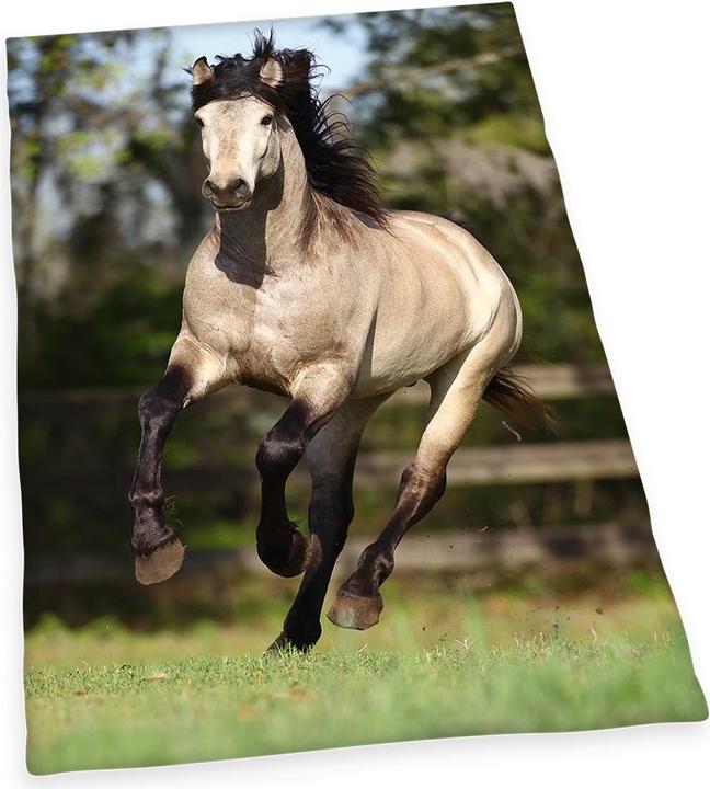 Produktbild Herding Pferd (Bettwäsche Set, 160 x 210 cm, 65 x 100 cm)