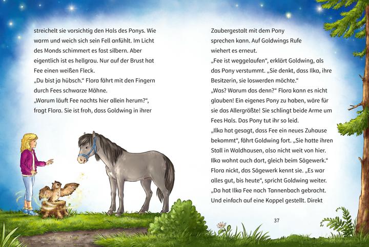 Image du produit Brandt:Eulenzauber Junior (1). Goldwing (Allemand, Nadine Reitz, Ina Brandt, 2025)