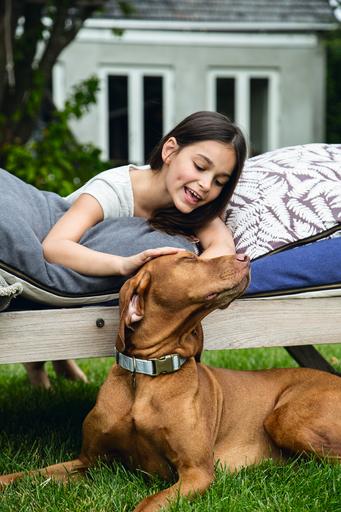 Actual product image Designed by Lotte Virante (M, L, Dog, Walks)