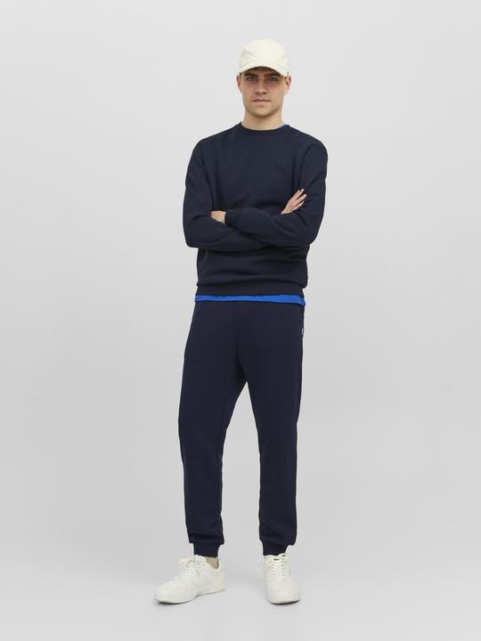 Actual product image Jack & Jones Gordon Bradley Sweatpants (M)