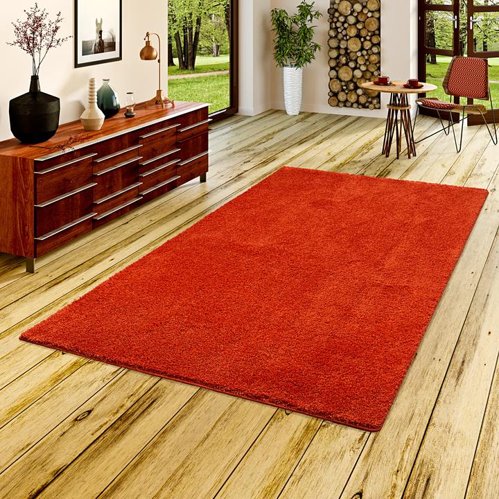 Immagine prodotto Snapstyle Palazzo del tappeto arruffato (100 x 300 cm)