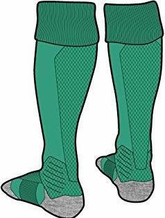Actual product image Puma Team LIGA Socks-703438 (47, 49)