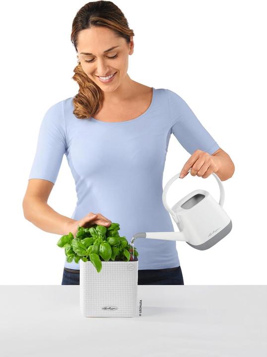 Immagine prodotto Lechuza cubo (14 cm)