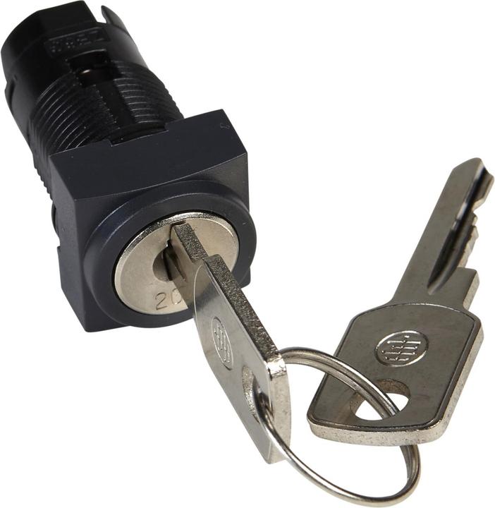Schneider Electric Porte-Clés Ronis Carré Zb6cgc