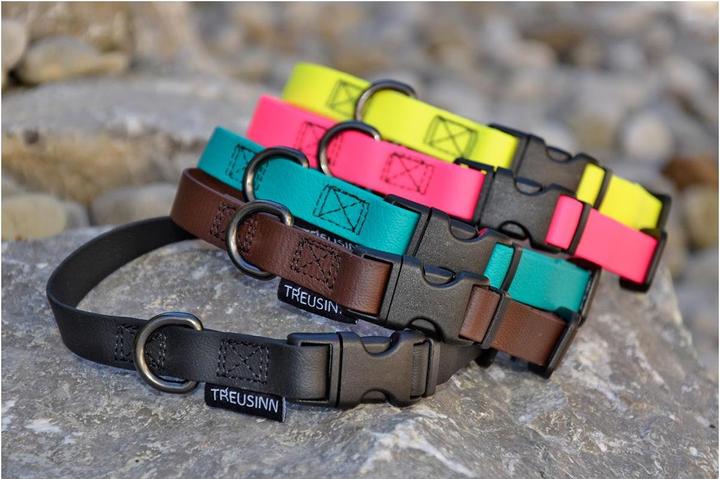Produktbild Treusinn. Hundehalsband Biothane STAY (Hund, Hundesport)
