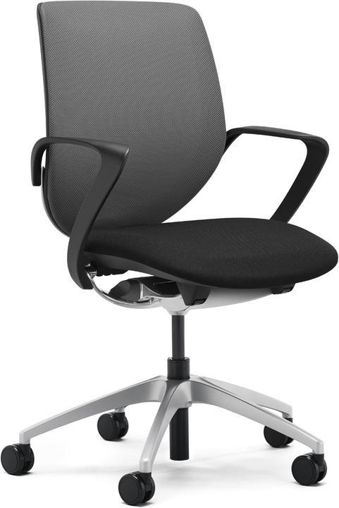 Actual product image Giroflex Netzrücken mit Armlehnen 313