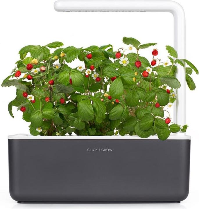 Actual product image Click and Grow smart garden (31.50 cm)