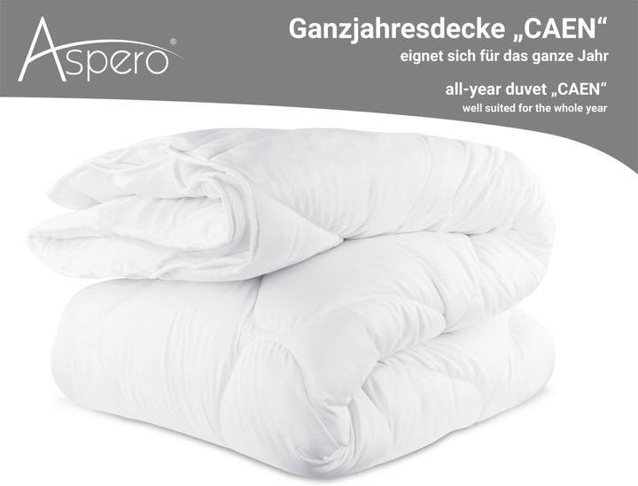 Actual product image Aspero All-season blanket CAEN - 1982 (1940 g, 240 x 220 cm)