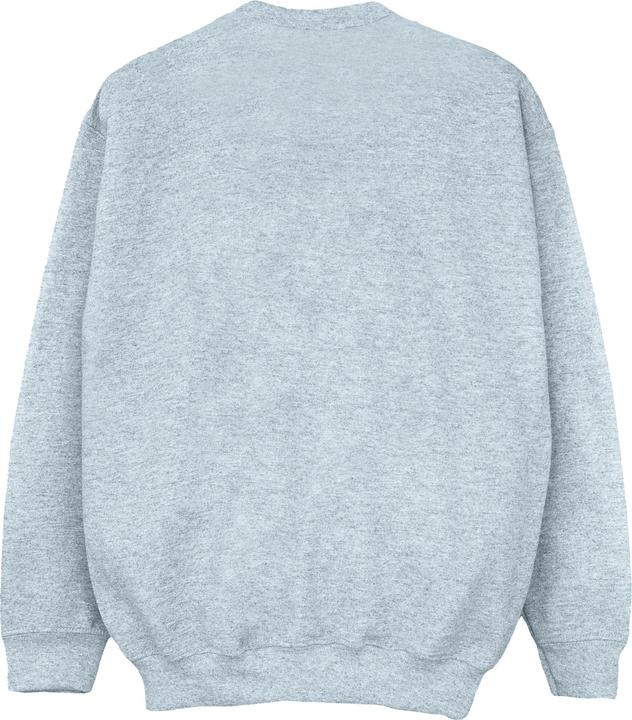 Actual product image Disney Girls Wreck It Ralph Mulan And Vanellope Sweatshirt (140, 146)