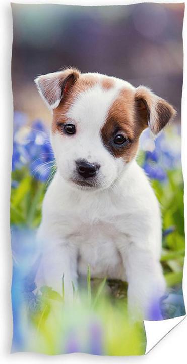 Produktbild Strandtuch Puppy Cotton, 70x140cm (140 x 70 cm)
