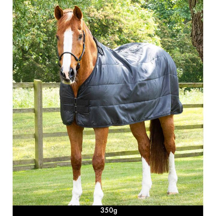 Image du produit Premier Equine 350 g