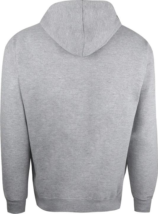 Actual product image Flash Hoodie (XL)
