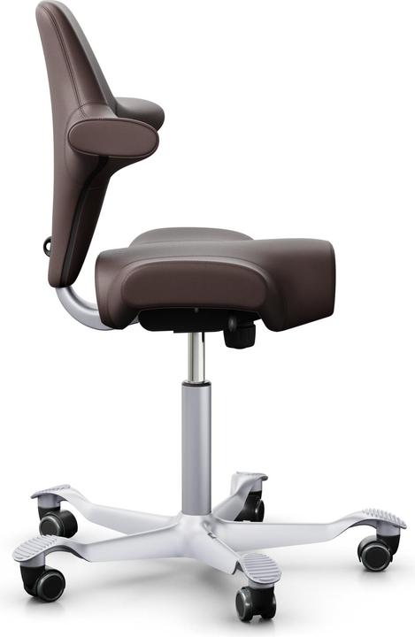 Actual product image HAG Capisco 8106