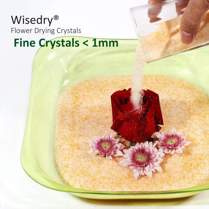 Actual product image Wisedry Silica gel
