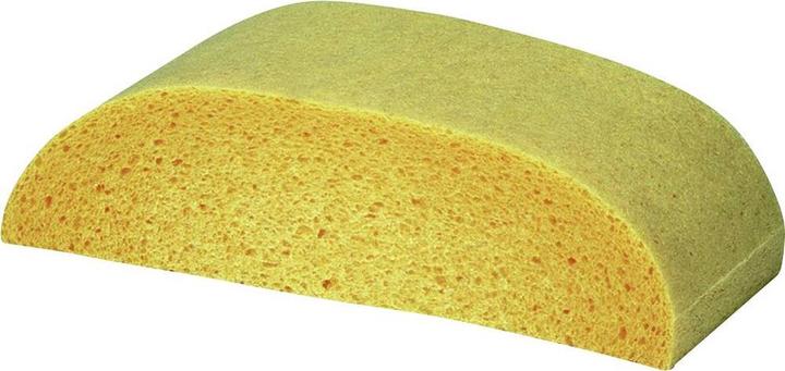 Actual product image IWH Viscose sponge