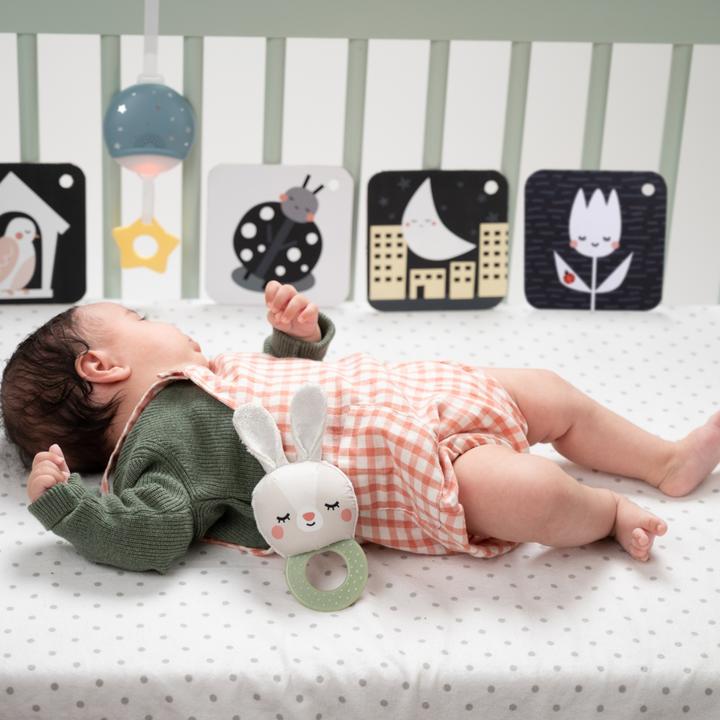 Actual product image Taf Toys Hello Baby
