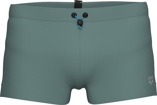 Actual product image Arena M Evo Swim Short (7, L)