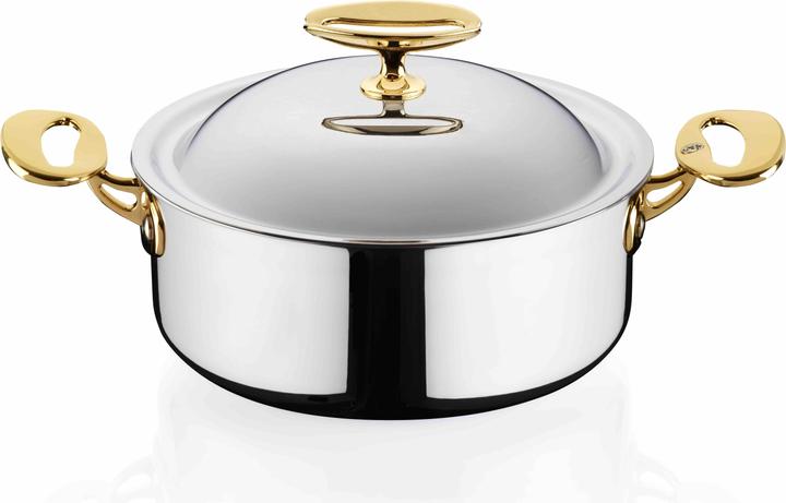 Actual product image Ladina Swiss Luxury Line BF SLL131-20-BF (Pan set + pot set)