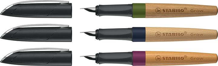 Actual product image STABILO Grow Fountain Pen 12 Display (Assorted, 12 x)
